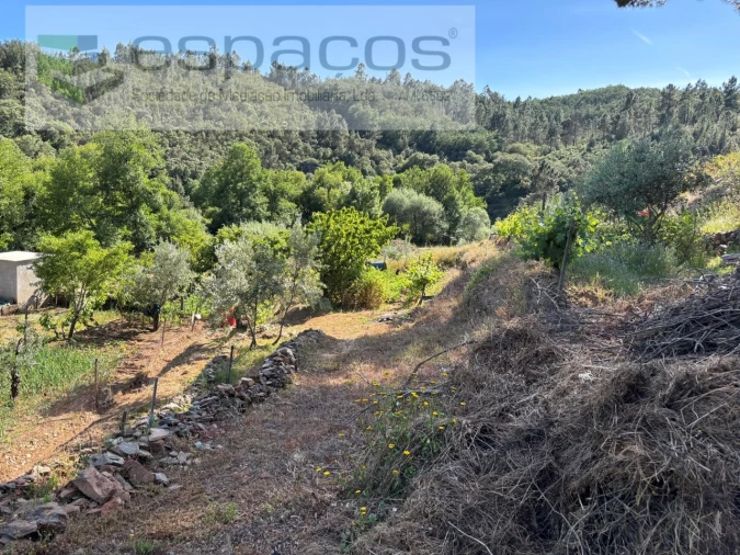 Quinta para Venda em Silvares Foto 35