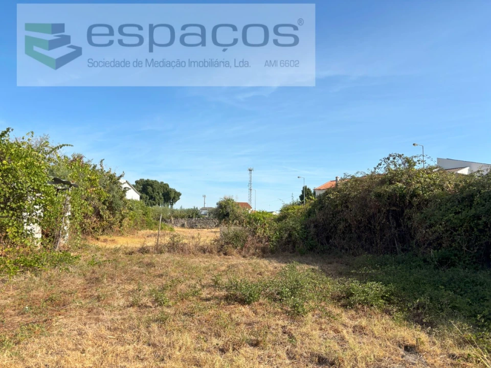 Terreno Agricola ou Rústico para Venda em Alcains Foto 5