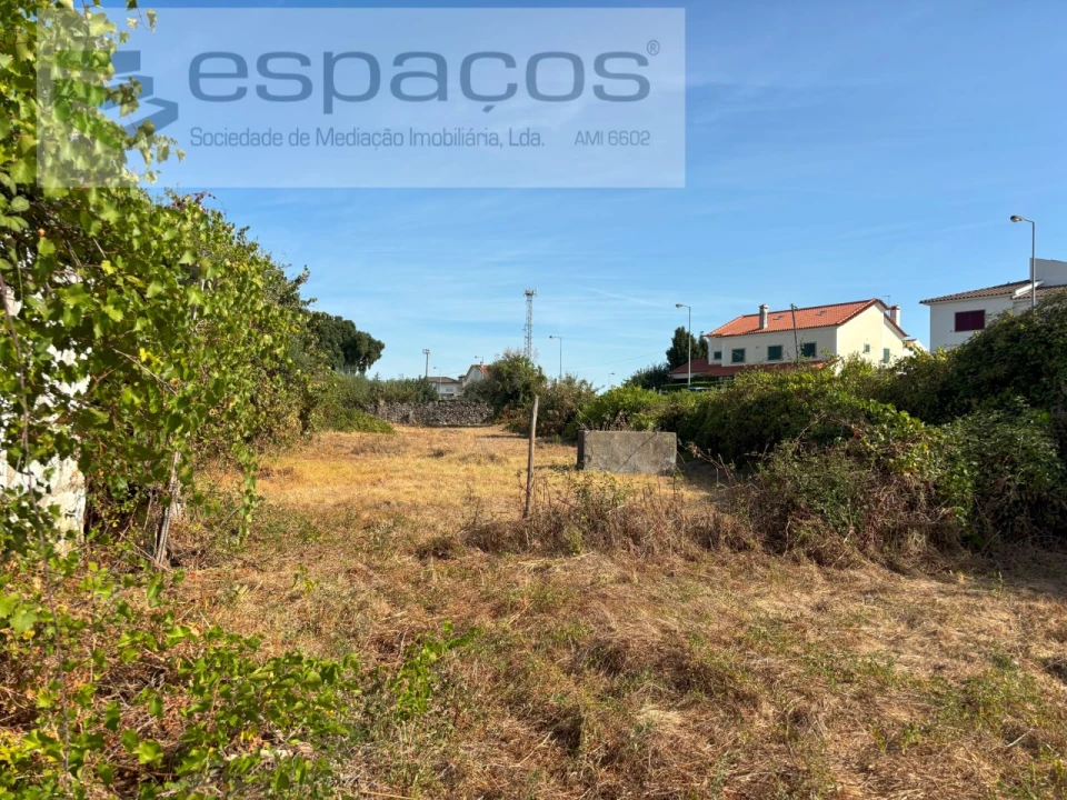 Terreno Agricola ou Rústico para Venda em Alcains Foto 1