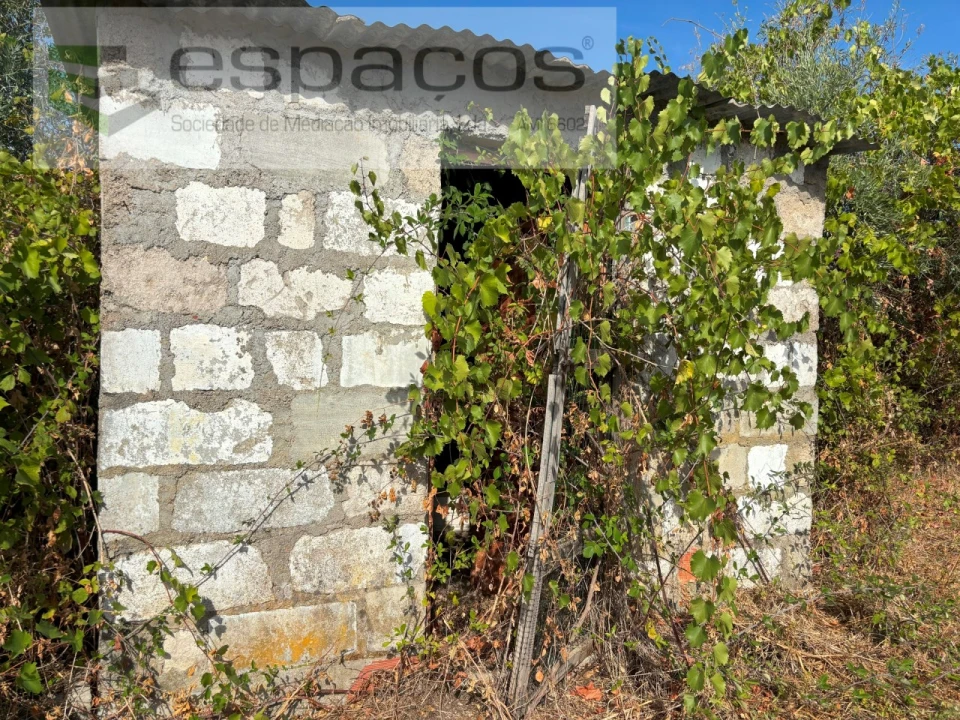 Terreno Agricola ou Rústico para Venda em Alcains Foto 6