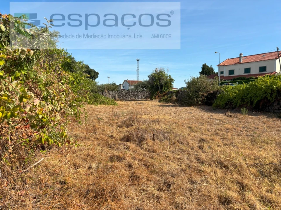Terreno Agricola ou Rústico para Venda em Alcains Foto 9
