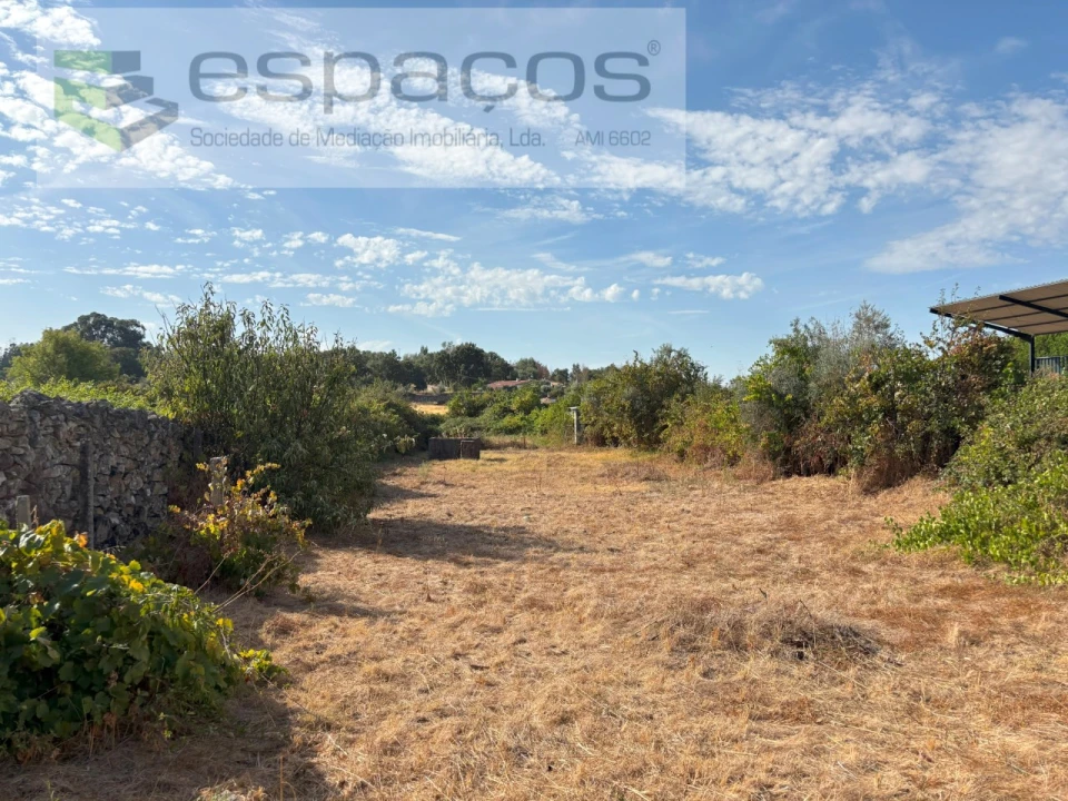 Terreno Agricola ou Rústico para Venda em Alcains Foto 11