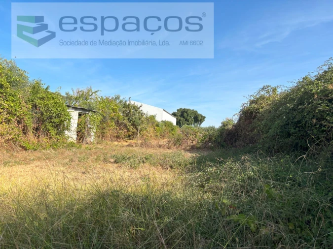 Terreno Agricola ou Rústico para Venda em Alcains Foto 3