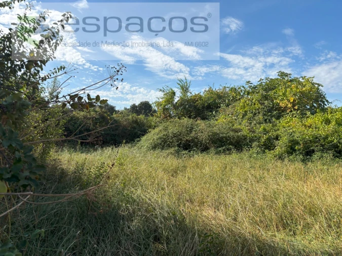 Terreno Agricola ou Rústico para Venda em Alcains Foto 4