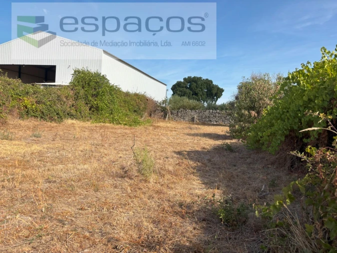 Terreno Agricola ou Rústico para Venda em Alcains Foto 10