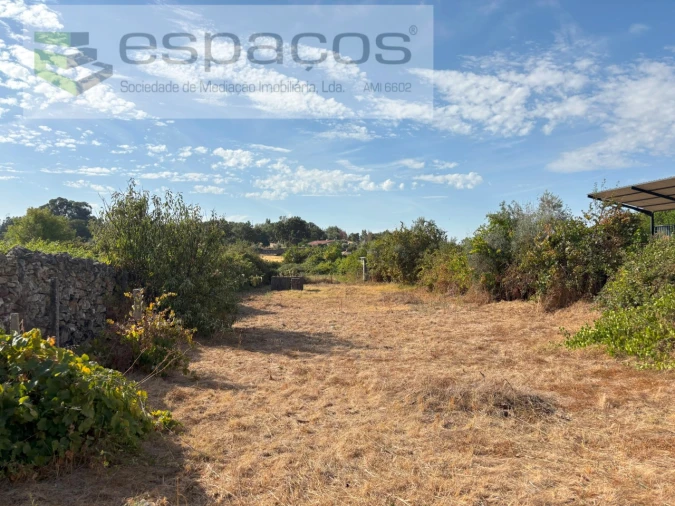 Terreno Agricola ou Rústico para Venda em Alcains Foto 11
