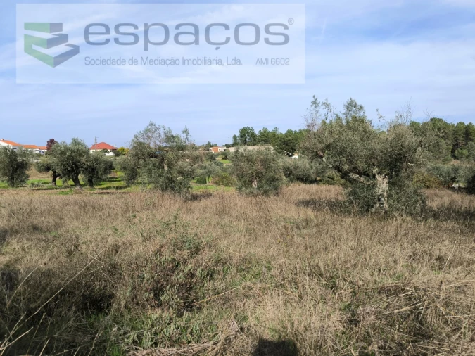 Terreno Agricola ou Rústico para Venda em Salgueiro do Campo Foto 2