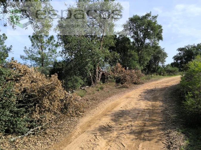 Terreno Agricola ou Rústico para Venda em Salgueiro do Campo Foto 6