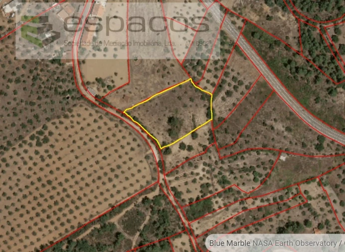 Terreno Agricola ou Rústico para Venda em Salgueiro do Campo Foto 7