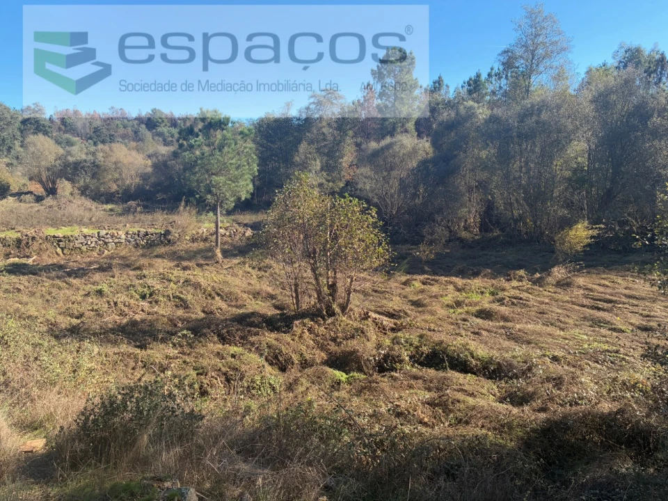 Terreno para Venda em Lavacolhos Foto 3