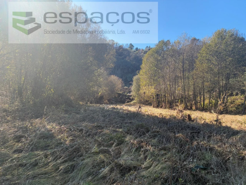 Terreno para Venda em Lavacolhos Foto 7