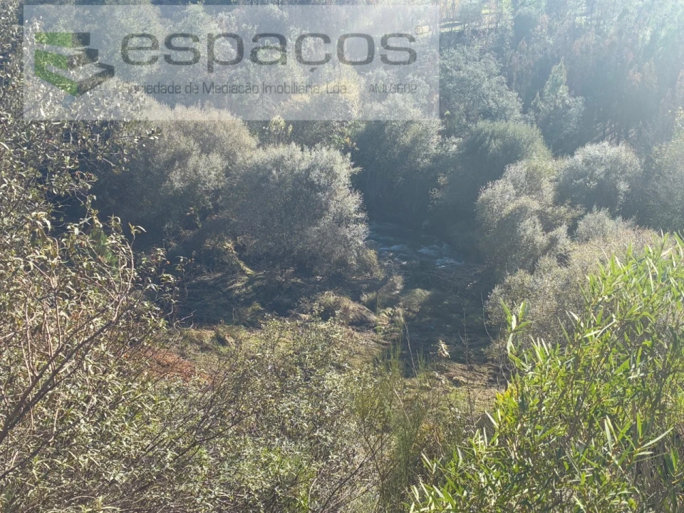 Terreno para Venda em Lavacolhos Foto 14