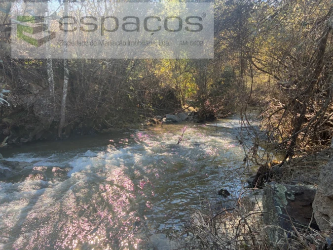 Terreno para Venda em Lavacolhos Foto 2