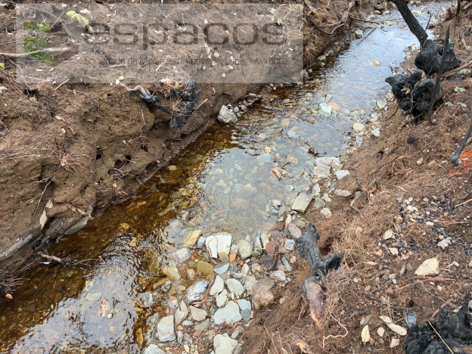 Terreno para Venda em Lavacolhos Foto 5