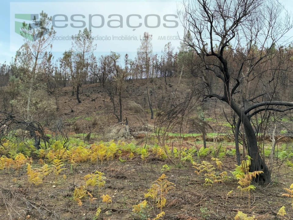 Terreno para Venda em Lavacolhos Foto 11