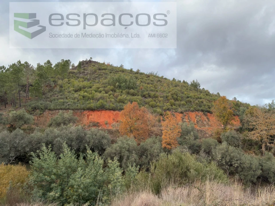 Terreno para Venda em Lavacolhos Foto 1