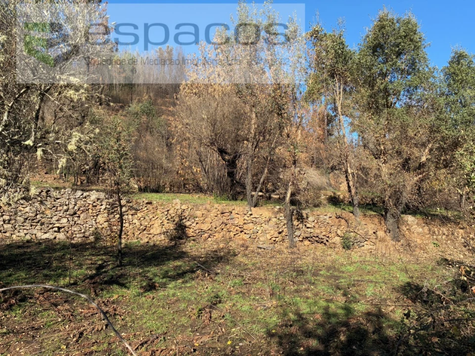 Quinta T1 para Venda em Lavacolhos Foto 9