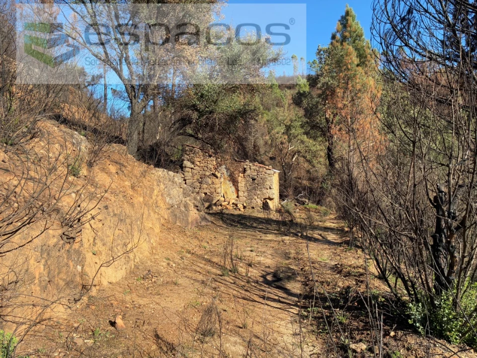 Quinta T1 para Venda em Lavacolhos Foto 12