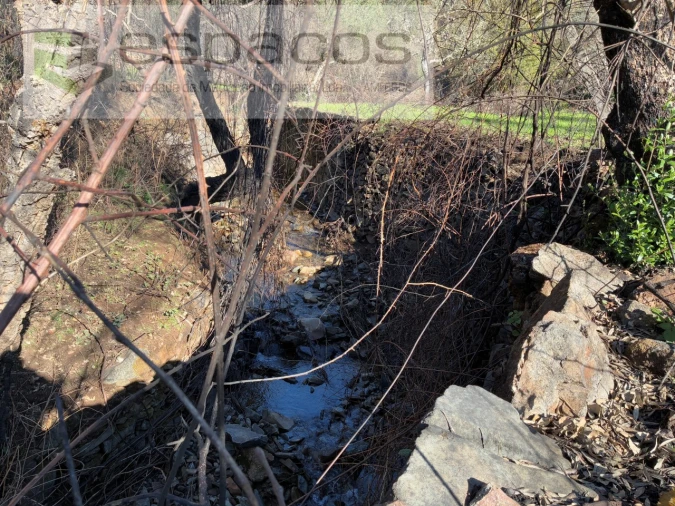 Quinta T1 para Venda em Lavacolhos Foto 4