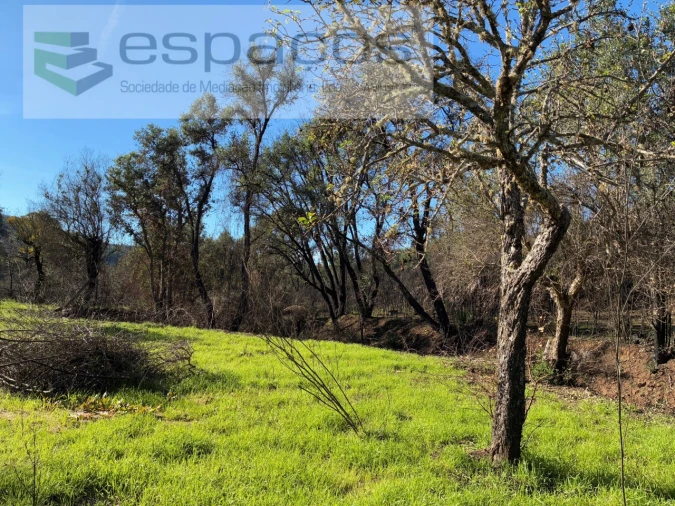 Quinta T1 para Venda em Lavacolhos Foto 1