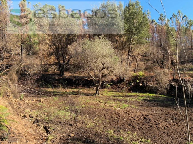 Quinta T1 para Venda em Lavacolhos Foto 19