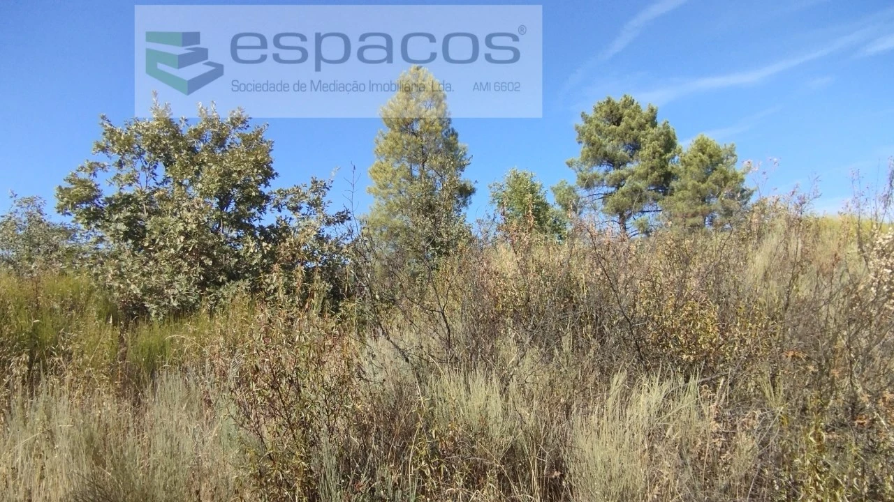 Terreno para Venda em Salvador Foto 6