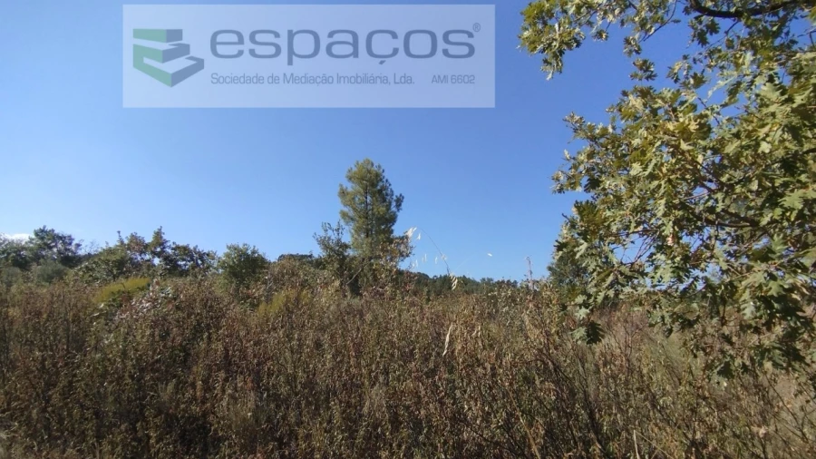 Terreno para Venda em Salvador Foto 4