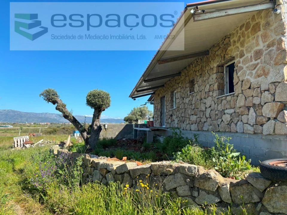 Quinta T3 para Venda em Lardosa Foto 5