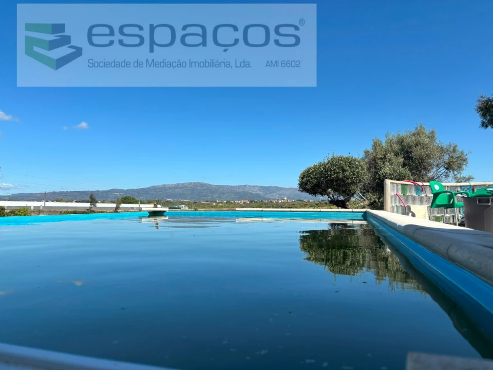 Quinta T3 para Venda em Lardosa Foto 3