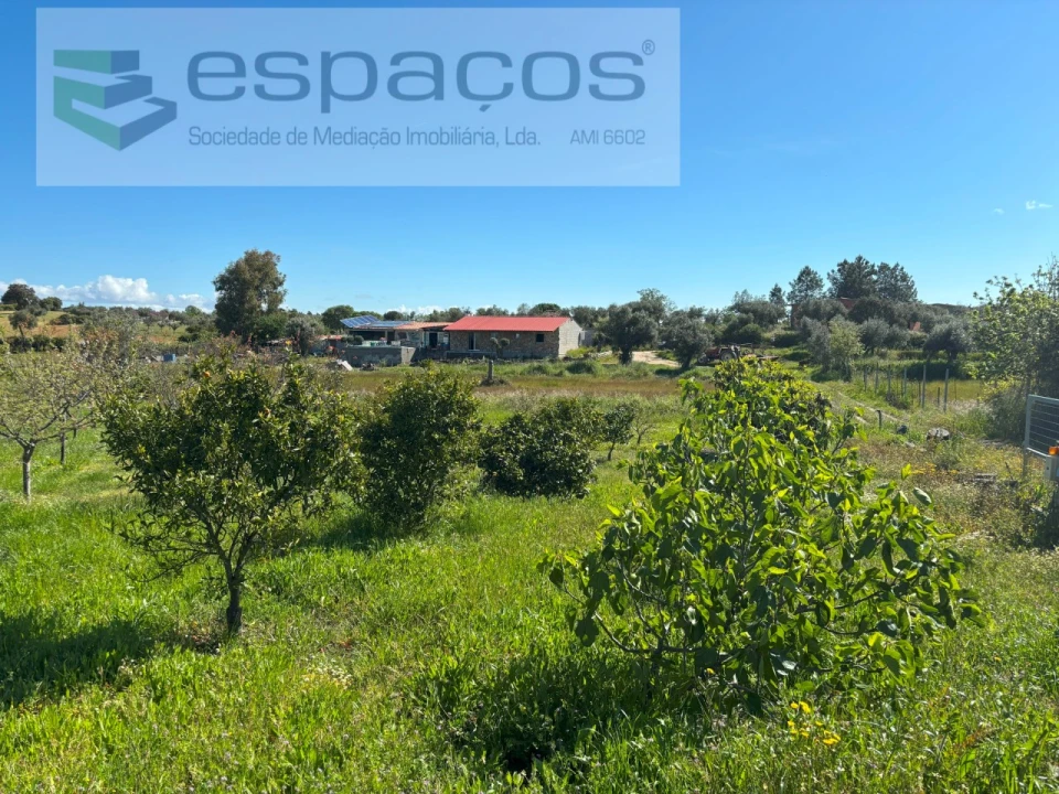 Quinta T3 para Venda em Lardosa Foto 25