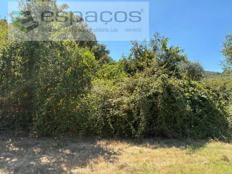 Terreno para Venda em Telhado Foto 5