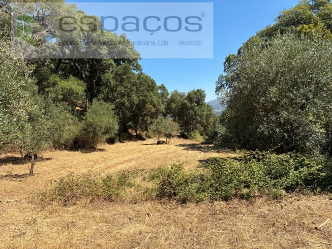 Terreno para Venda em Telhado Foto 1