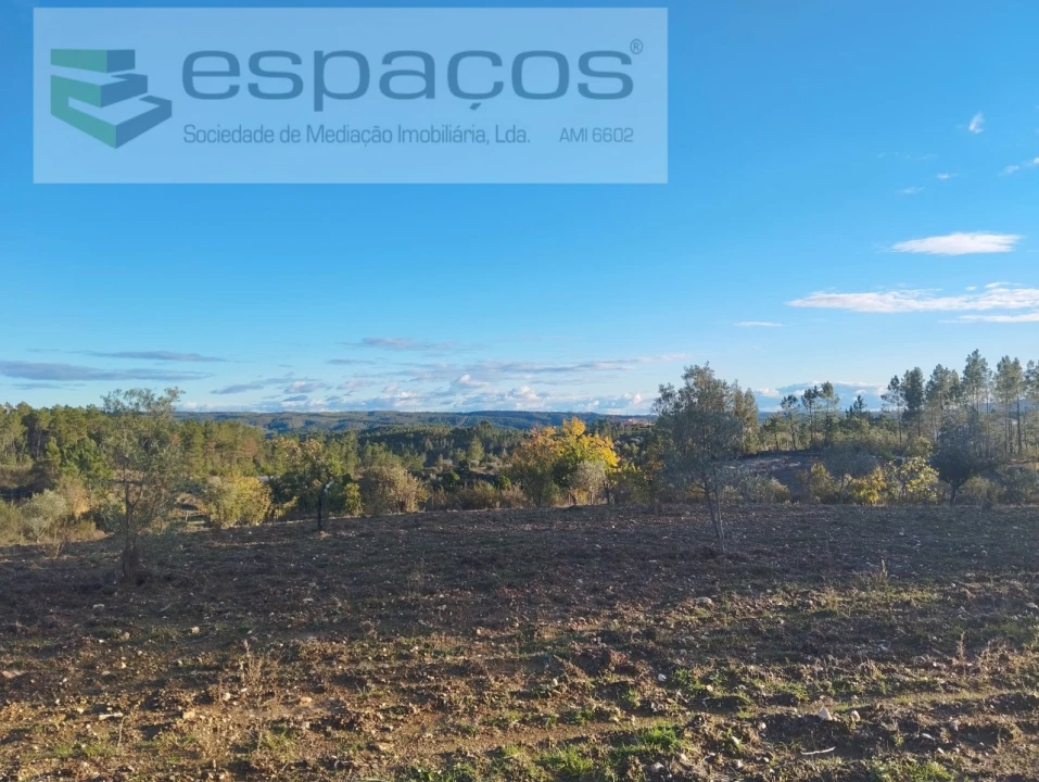 Terreno para Venda em Santo Andre das Tojeiras Foto 7