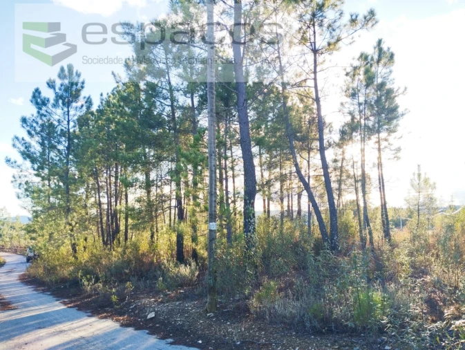 Terreno para Venda em Santo Andre das Tojeiras Foto 11