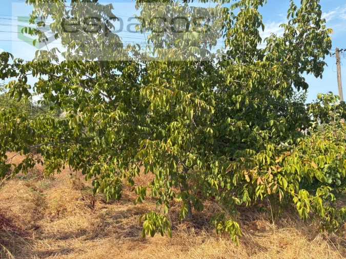 Quinta T1 para Venda em Teixoso e Sarzedo Foto 20