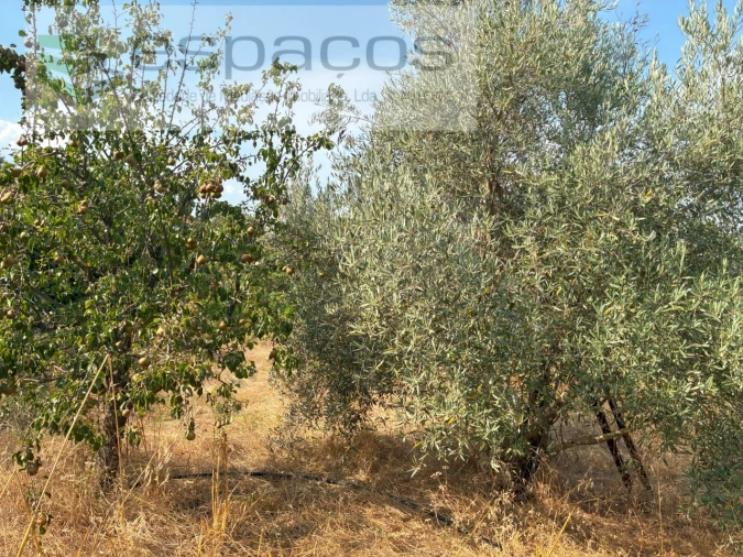 Quinta T1 para Venda em Teixoso e Sarzedo Foto 22