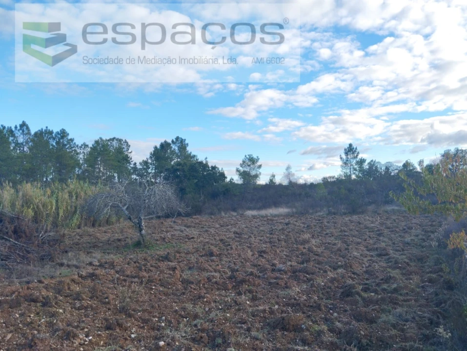 Terreno para Venda em Santo Andre das Tojeiras Foto 2