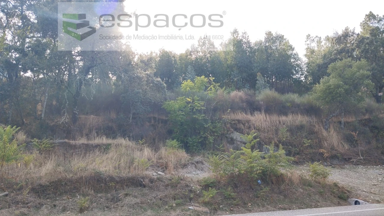 Terreno para Venda em Benquerenças Foto 7