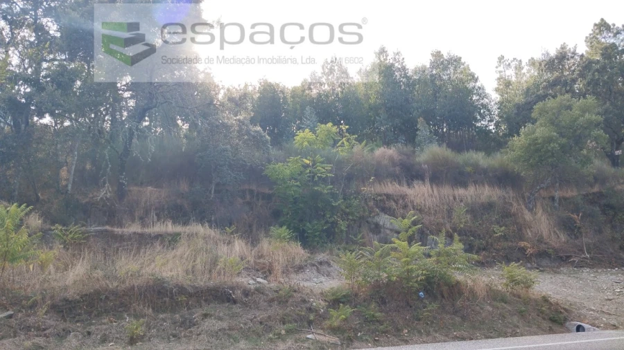 Terreno para Venda em Benquerenças Foto 7