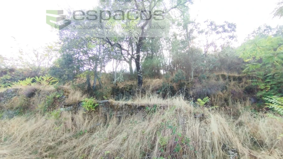 Terreno para Venda em Benquerenças Foto 3