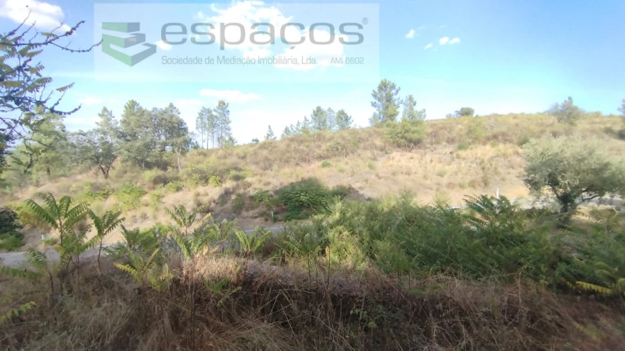 Terreno para Venda em Benquerenças Foto 1