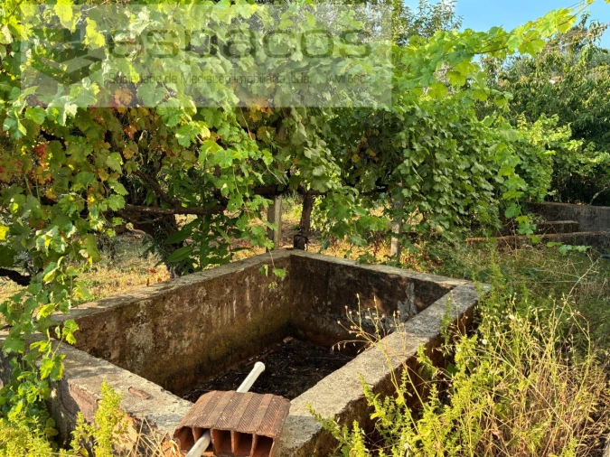 Moradia T5 para Venda em Lavacolhos Foto 68