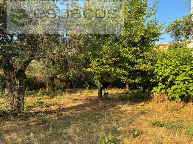 Moradia T5 para Venda em Lavacolhos Foto 74