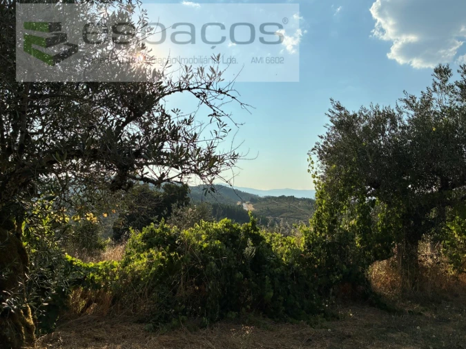 Moradia T5 para Venda em Lavacolhos Foto 75