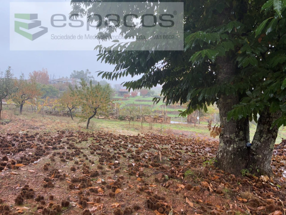 Quinta para Venda em Paul Foto 4