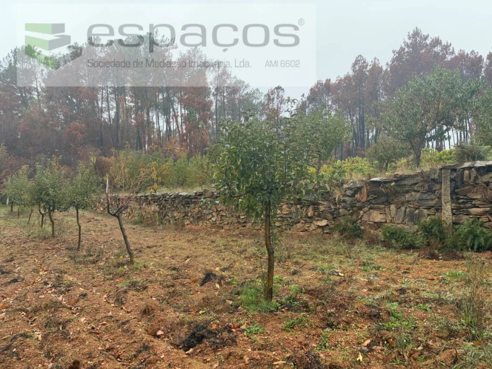 Quinta para Venda em Paul Foto 20