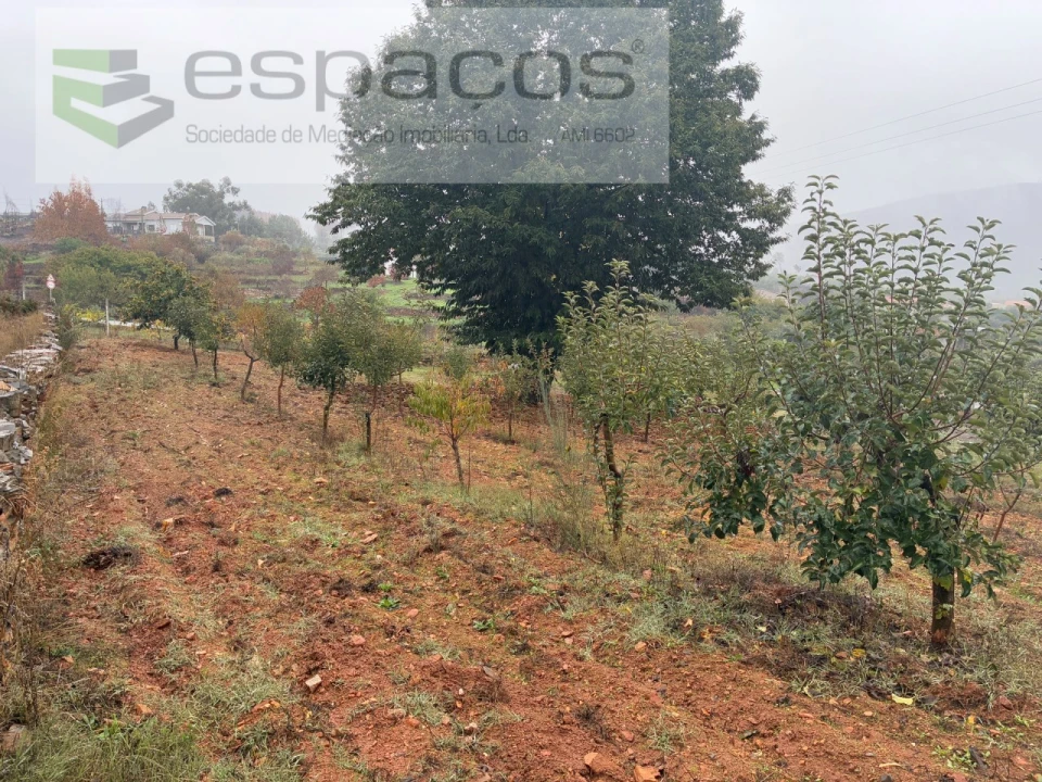 Quinta para Venda em Paul Foto 21