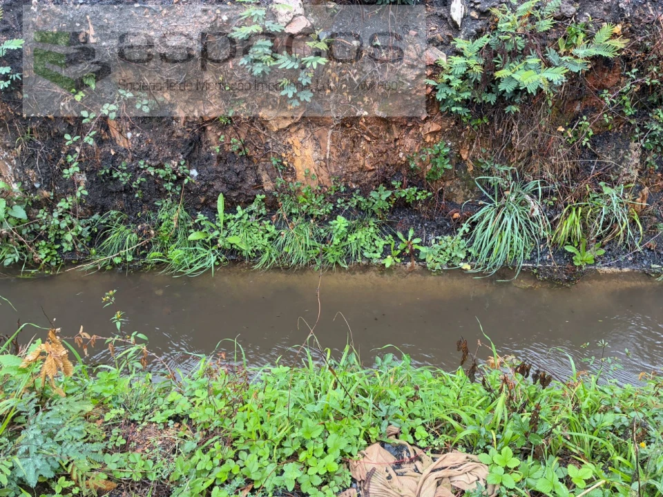 Quinta para Venda em Paul Foto 23