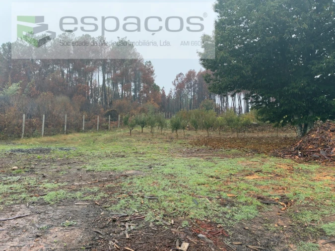 Quinta para Venda em Paul Foto 3