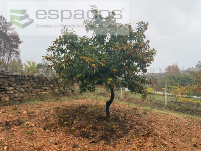 Quinta para Venda em Paul Foto 6